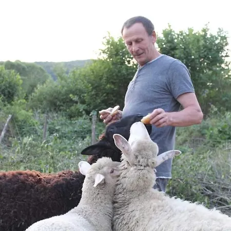 Feriested Dobranocka