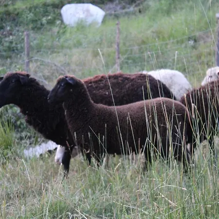 Resort Dobranocka Malastow