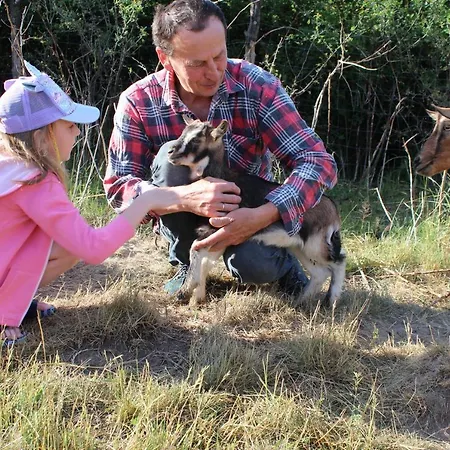 Resort Dobranocka Malastow